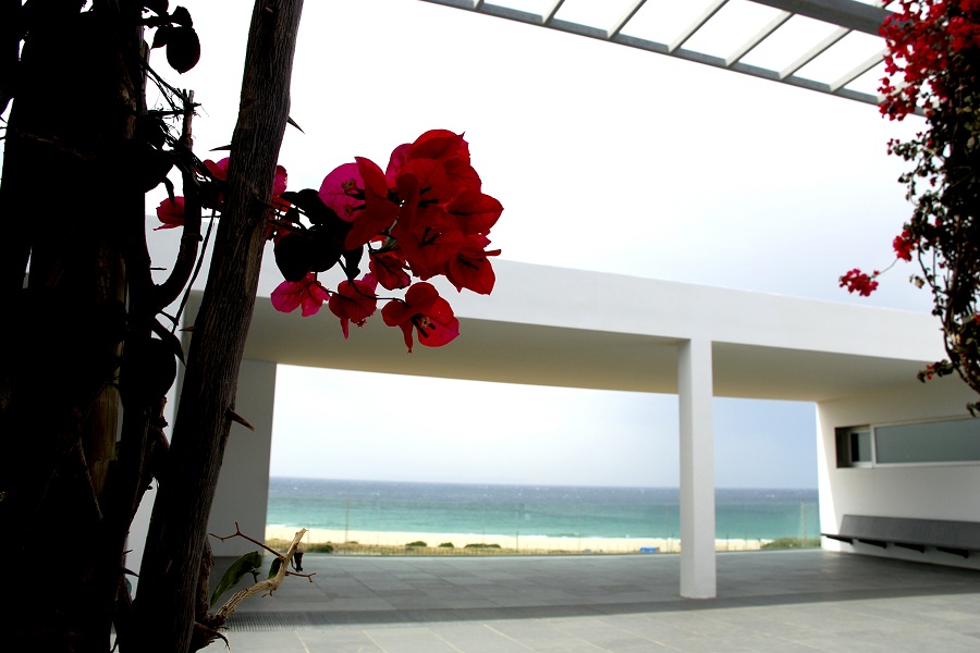 Centro de Visitantes con vistas a la playa de Bolonia